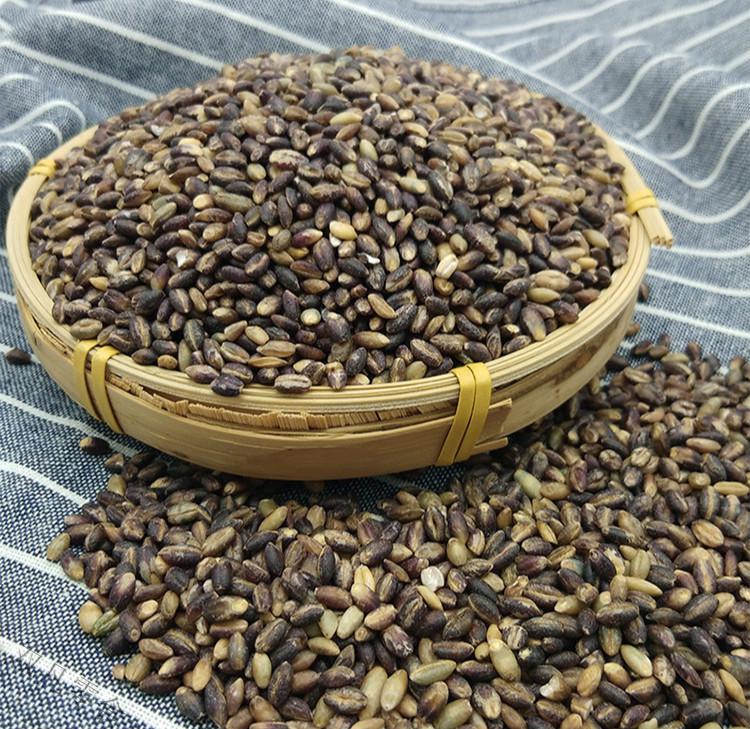 黑青稞米 5斤 西藏青海去皮黑大麦仁糖尿人健康五谷杂粮米 五谷杂粮米