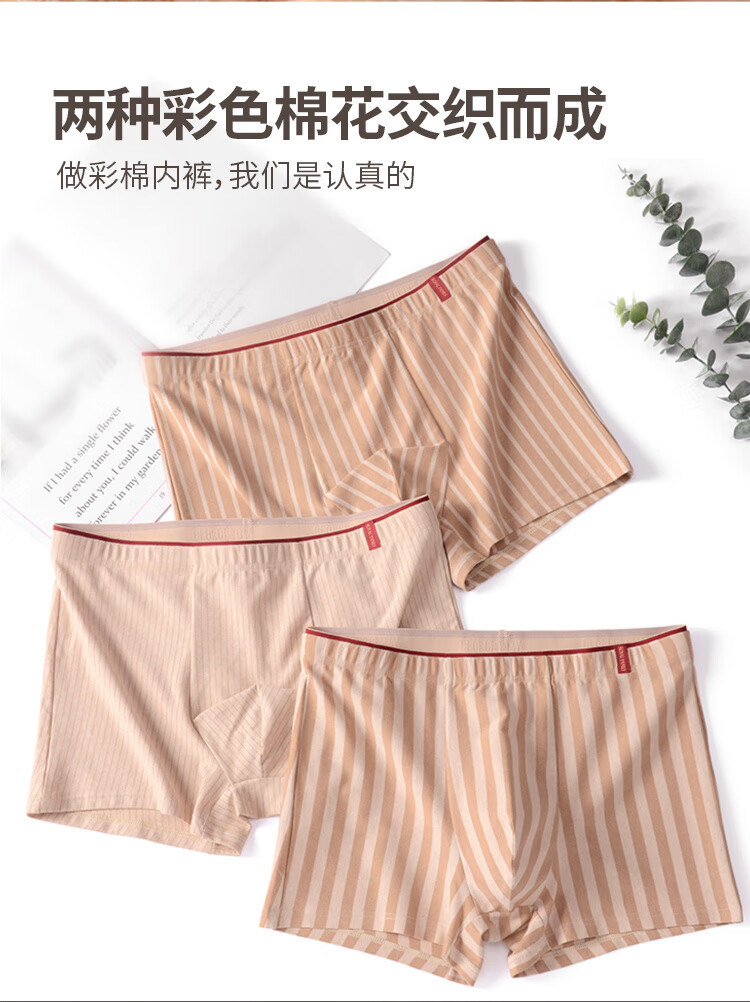 255e0156fa554576.jpg' style=