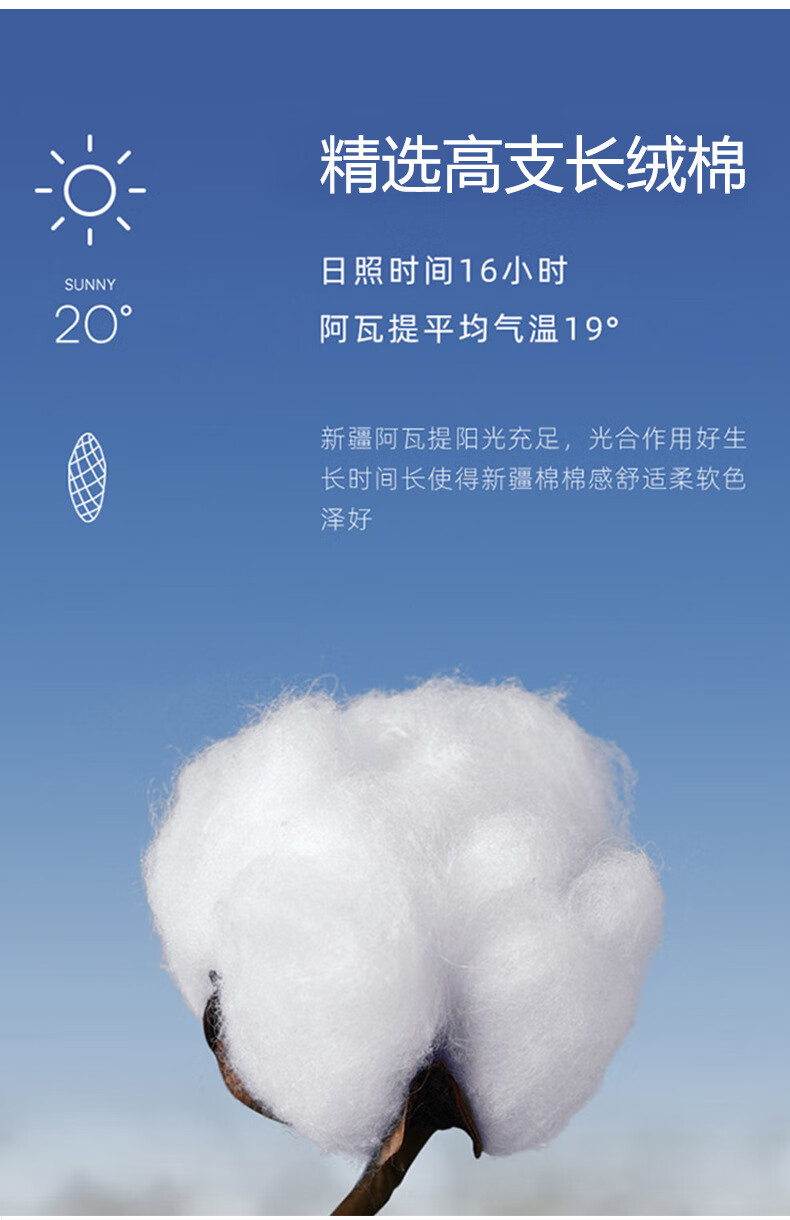 c694ac61a1527c0c.jpg