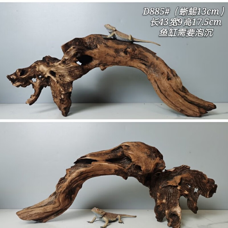 d6a5539ff42be5ed.jpg