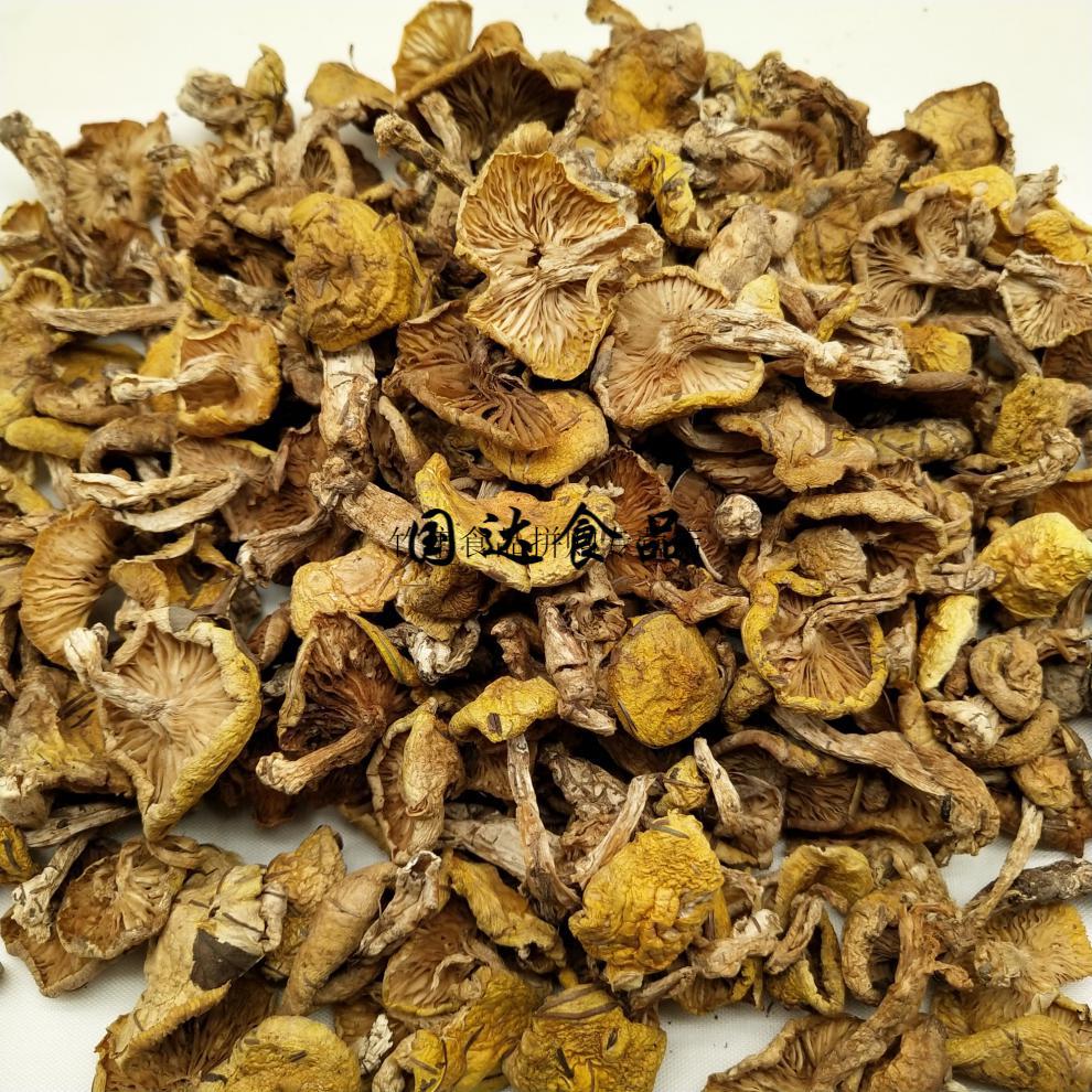 5折东北小黄蘑干货黄油蘑小鸡炖蘑菇蘑菇250