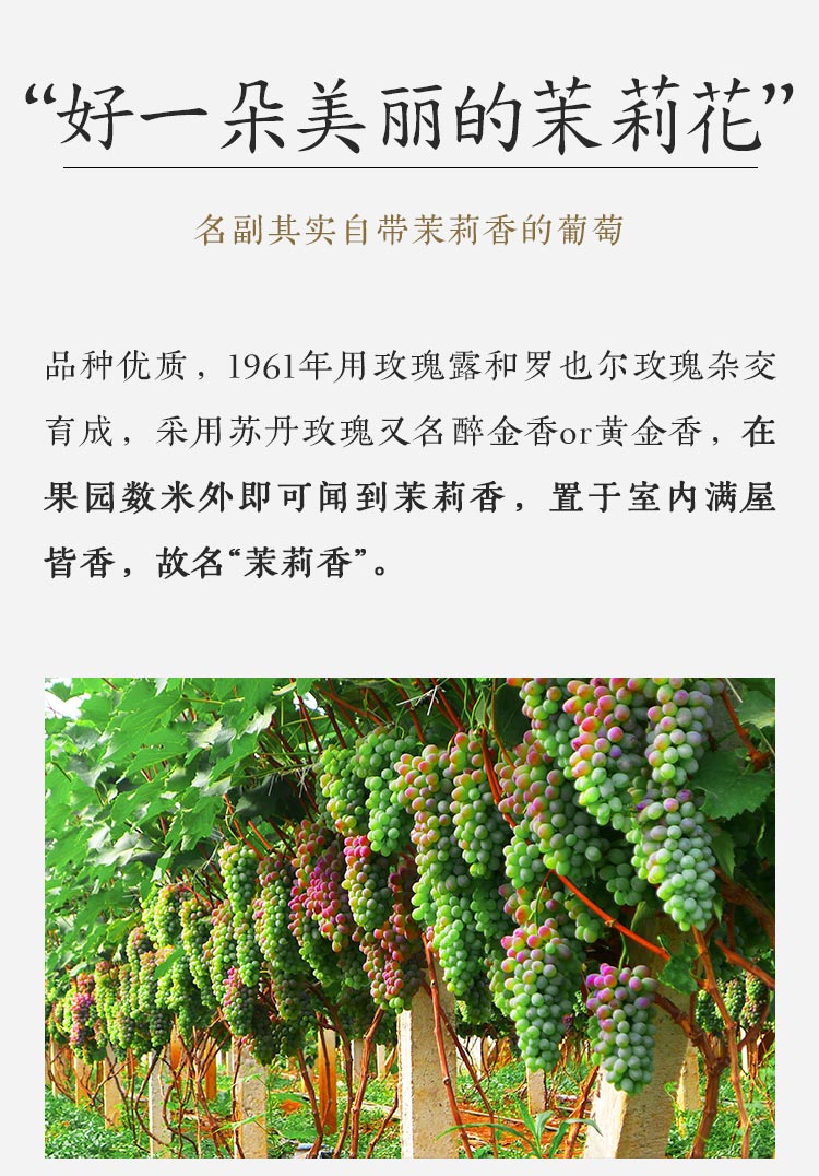 cc6636e098226af1.jpg