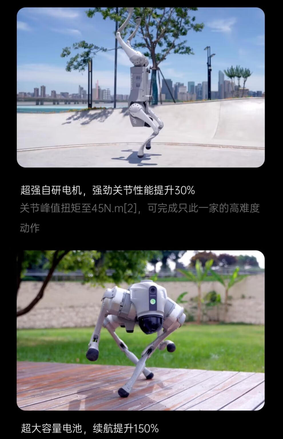 e21f46882e5f57a3.jpg