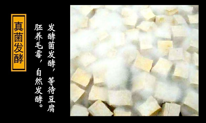 ccf531594451856a.jpg