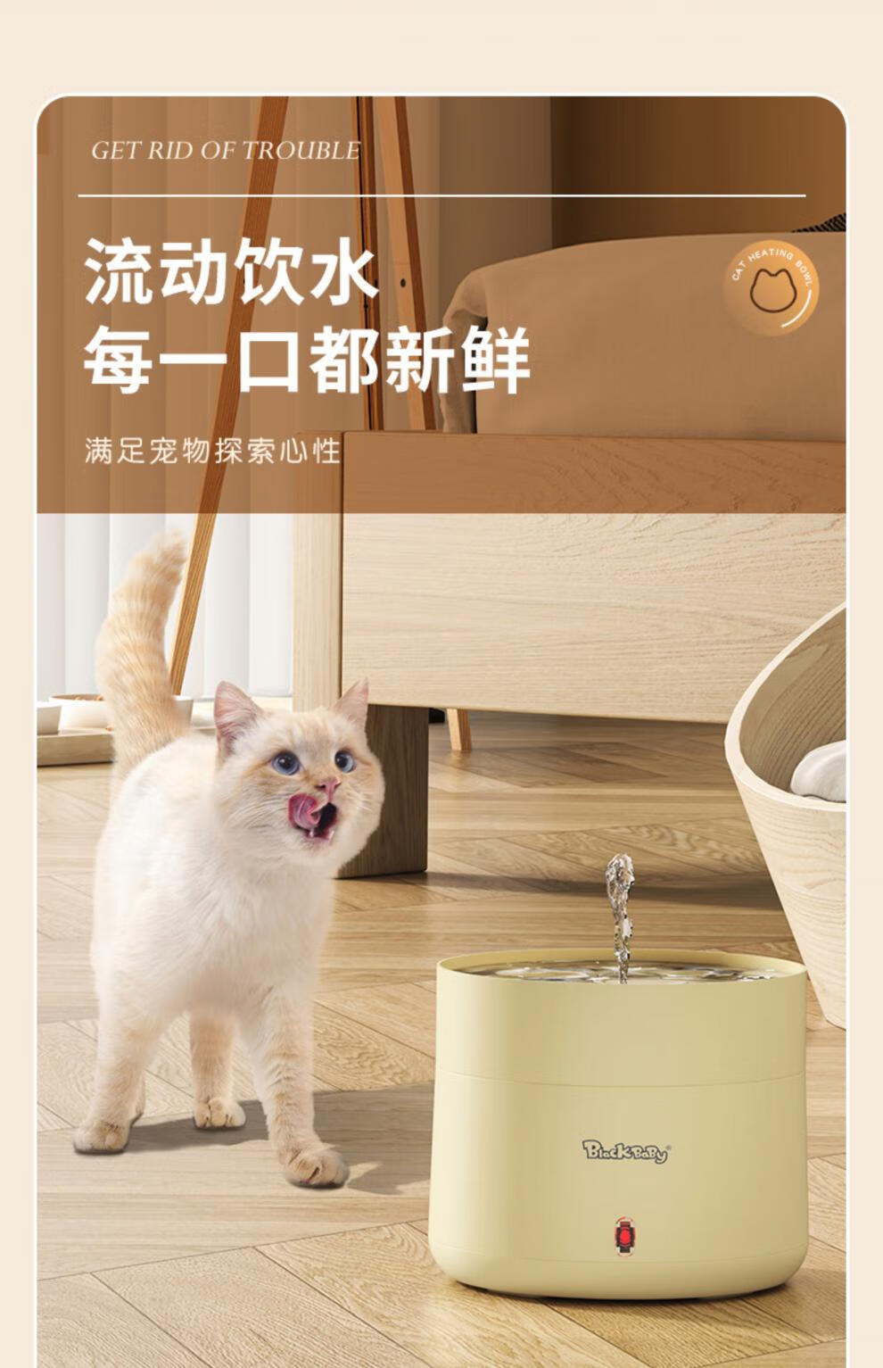 7627a385465425cb.jpg