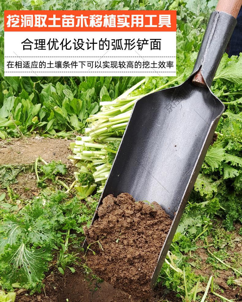 洛阳铲子挖坑打井户外挖土铁铲锰钢取土打桩铁锹打洞农用工具 【中号