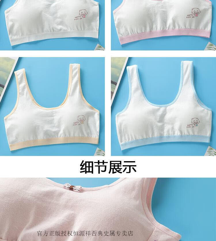 a79103a2b500dcdc.jpg