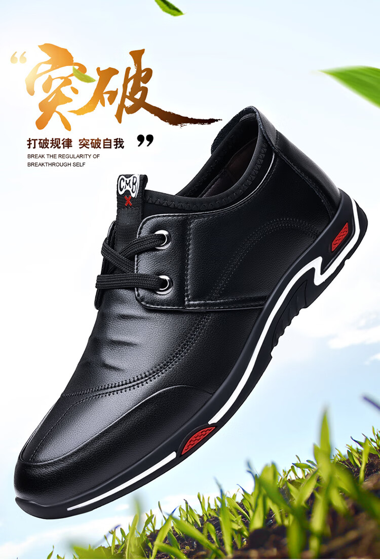 ab3540f753a0d1cc.jpg
