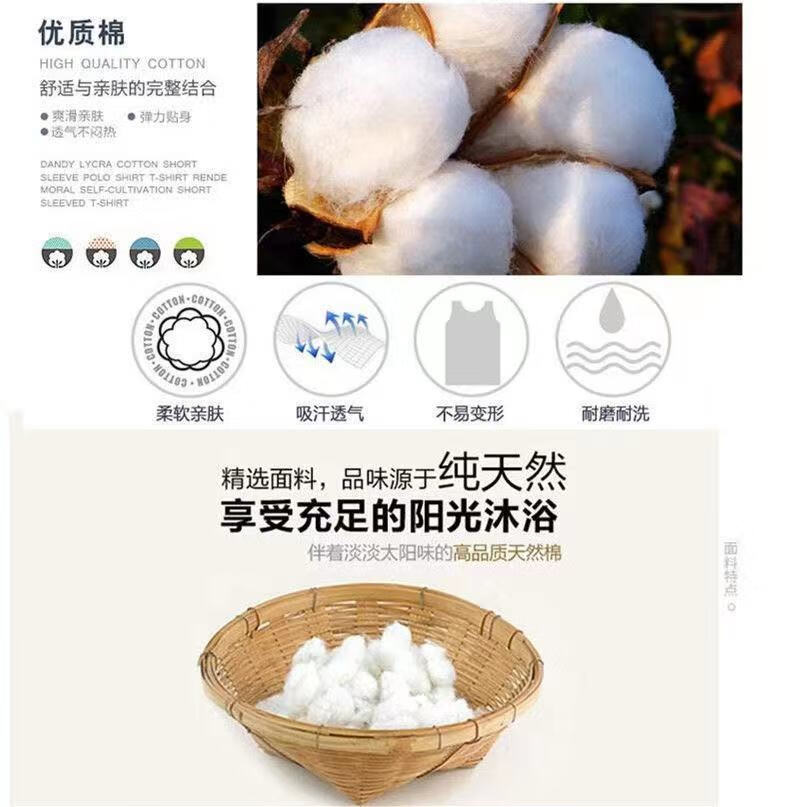 c442ba30e36a1f48.jpg