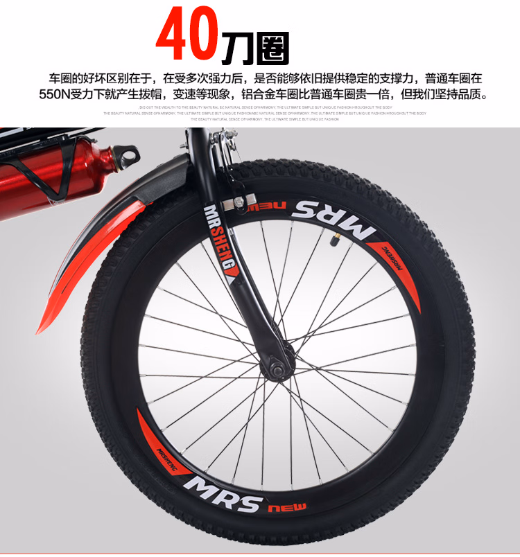 eb82e5c640947485.jpg.avif