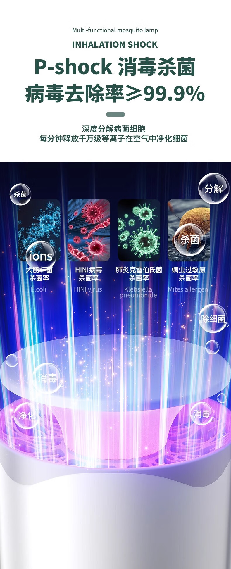5d47d2c59099a37f.jpg
