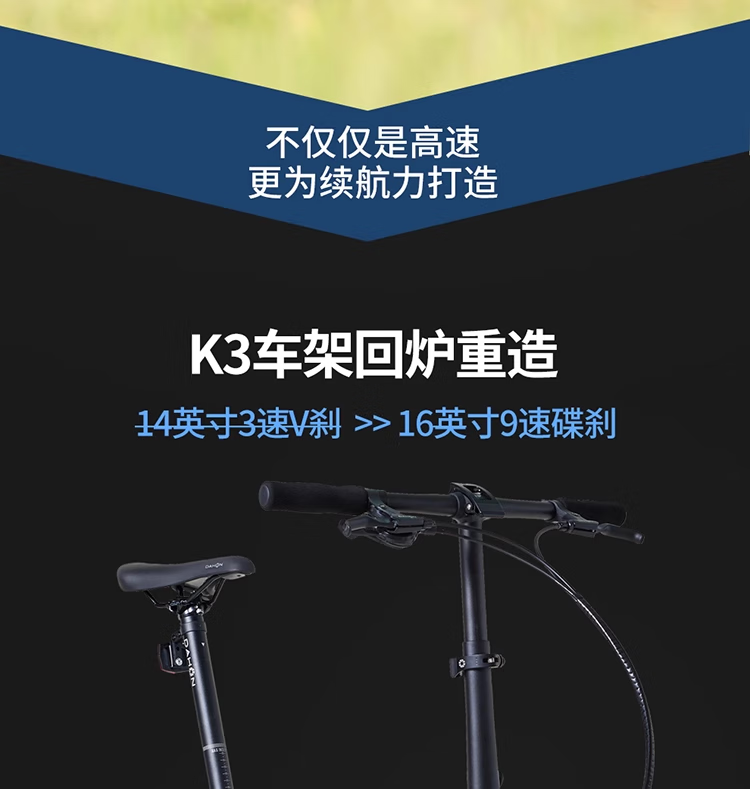 161e1d316293e7ed.png