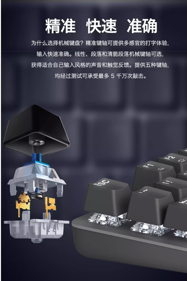 290a9402854d4a67.jpg