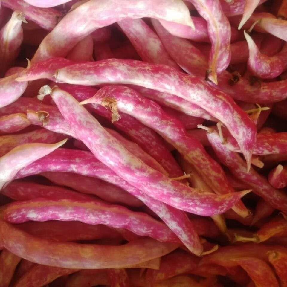 源外 东北黄金勾新鲜油豆角鼓豆豆角新鲜蔬菜勾钩黄 5斤【图片 价格