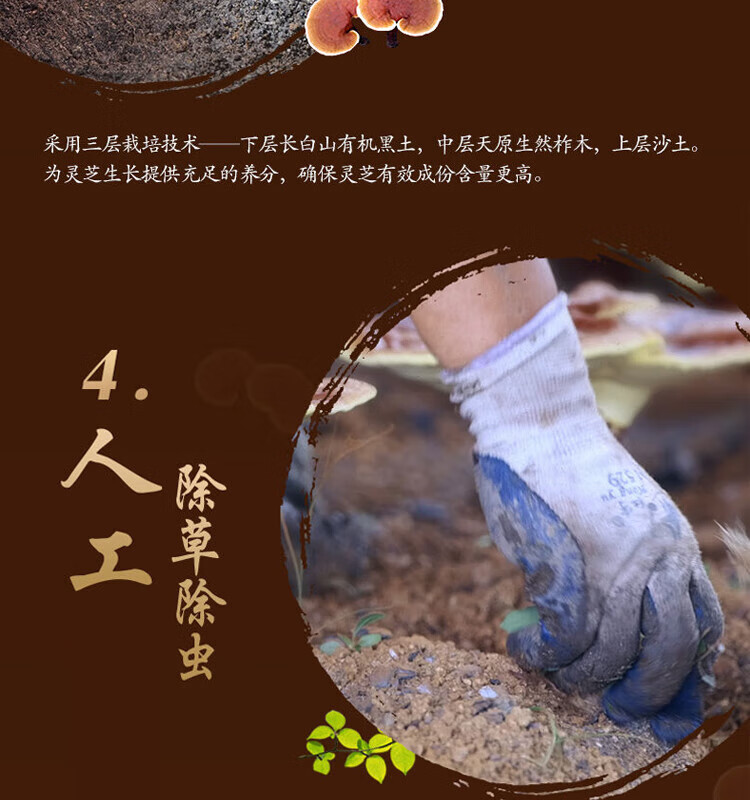 73250591fd326849.jpg