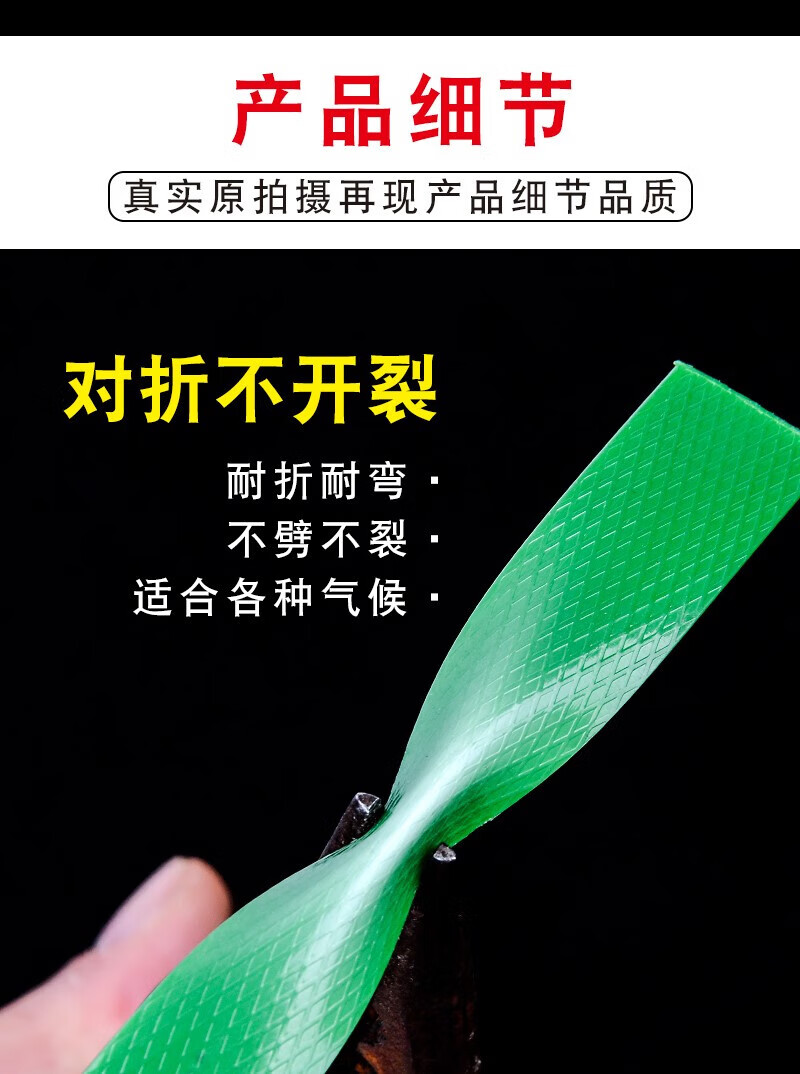 ed59809ff775b982.jpg