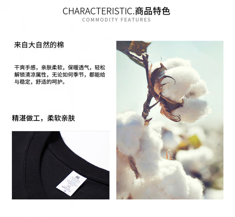 f9c44ae8c4380e16.jpg