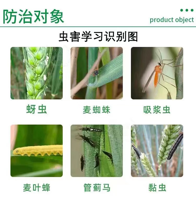 a75291370bcfbaca.jpg