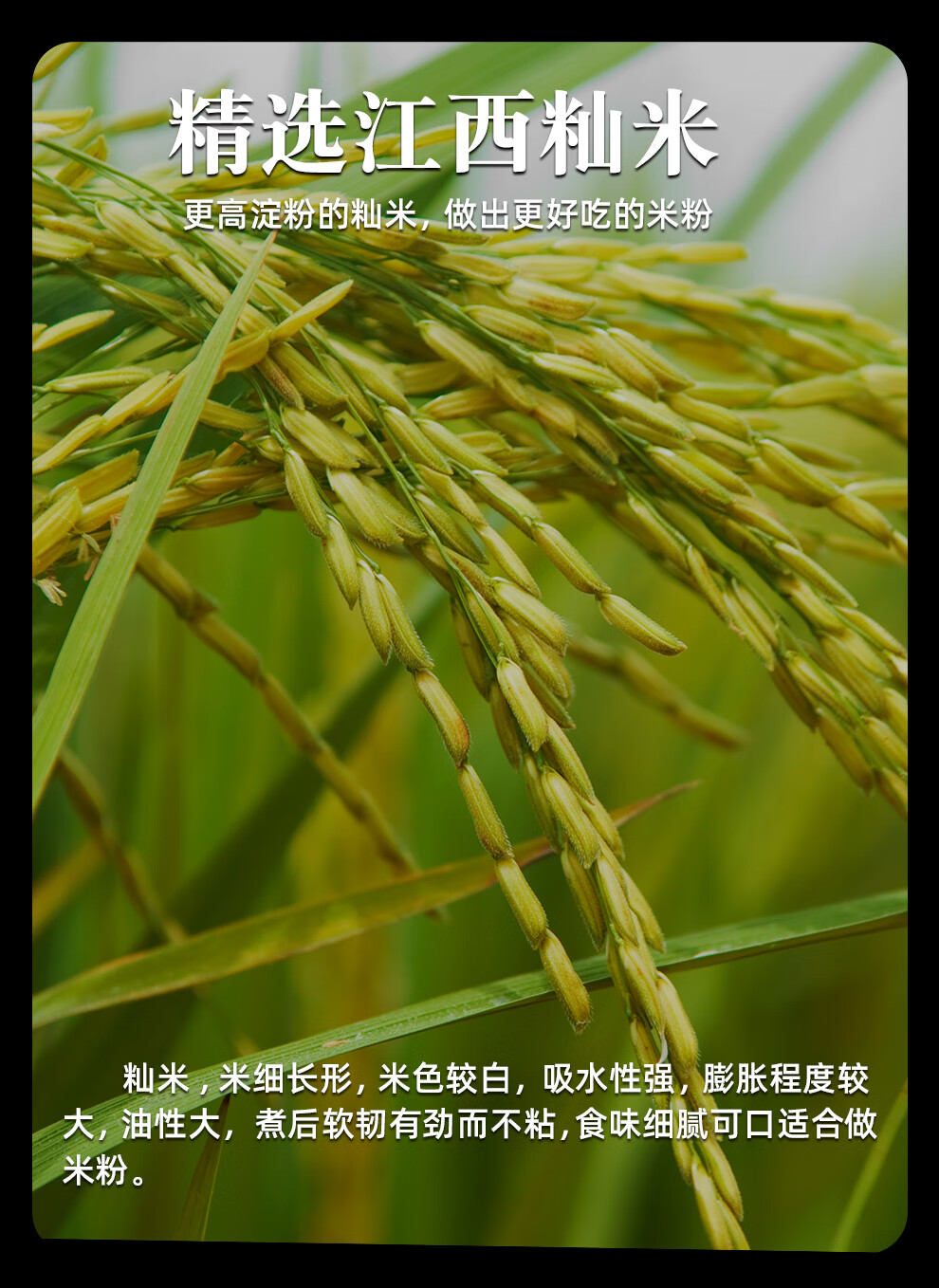d9d0eb08df3485f1.jpg