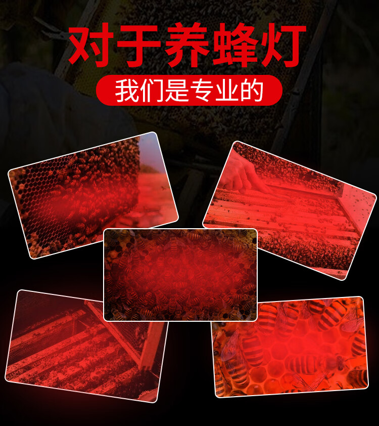 2ac7aa186b04b4b9.jpg