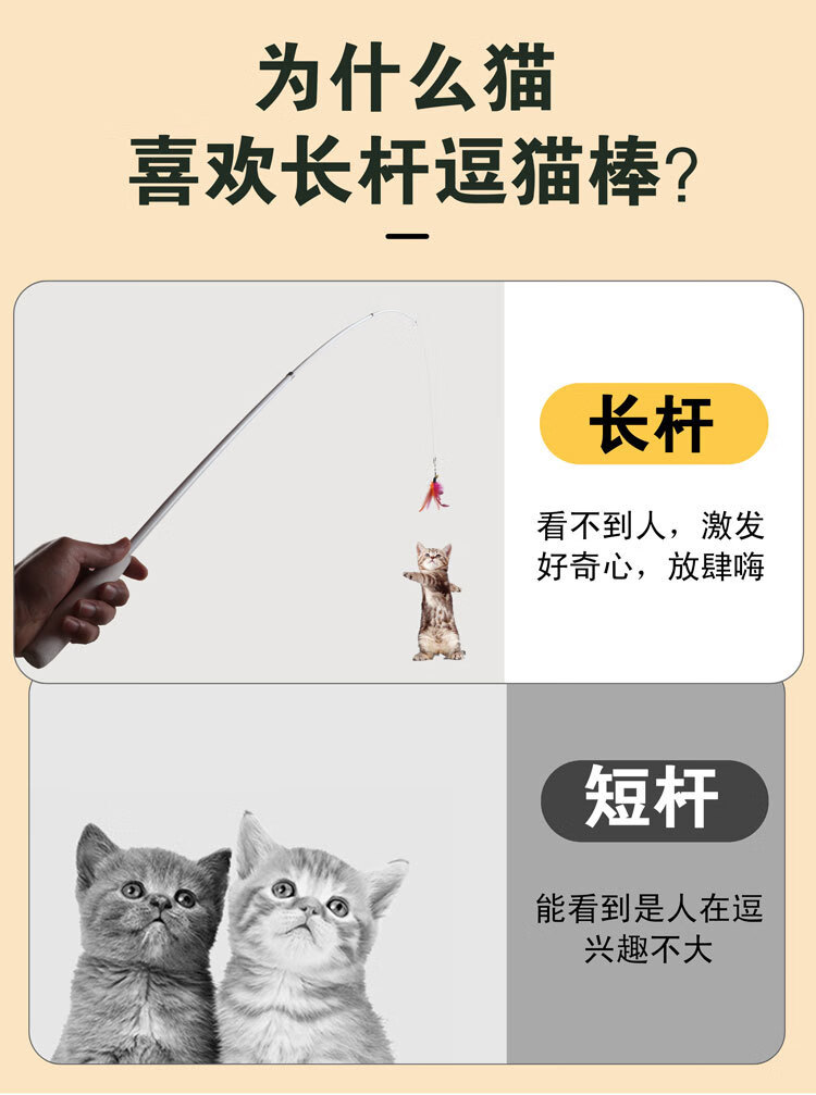 6a52e3da-902d-498e-879b-1e9a2930e385.jpe