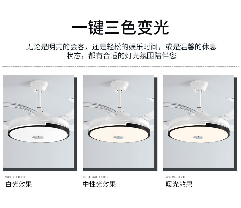 1ca358ec8b84b12e.jpg