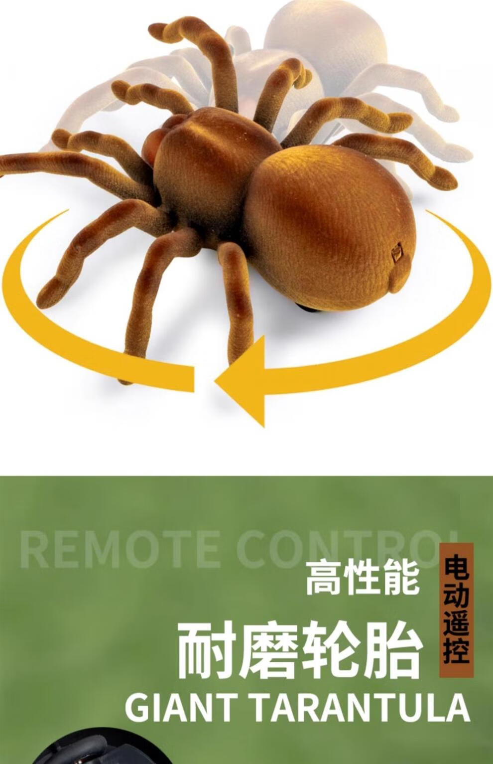 e5166647c7469972.jpg