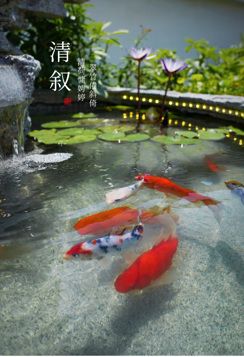 d569fc9892205f4a.jpg