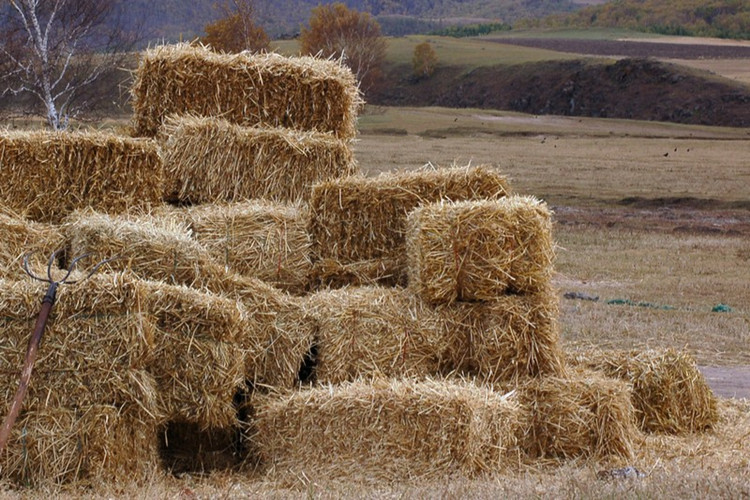 草垛干稻草装饰婚礼道具方形草垛圆柱草垛子草垫稻草凳子定做长方形