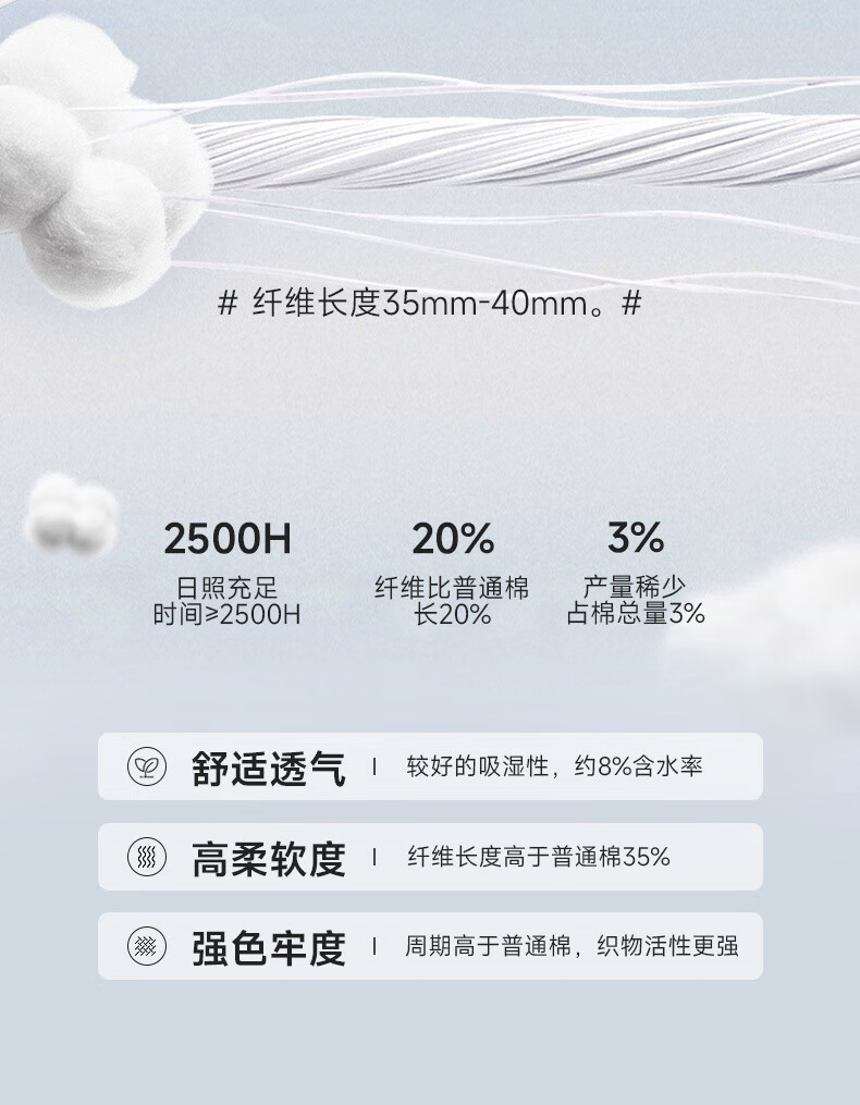 ae42131cbf8cbf13.jpg