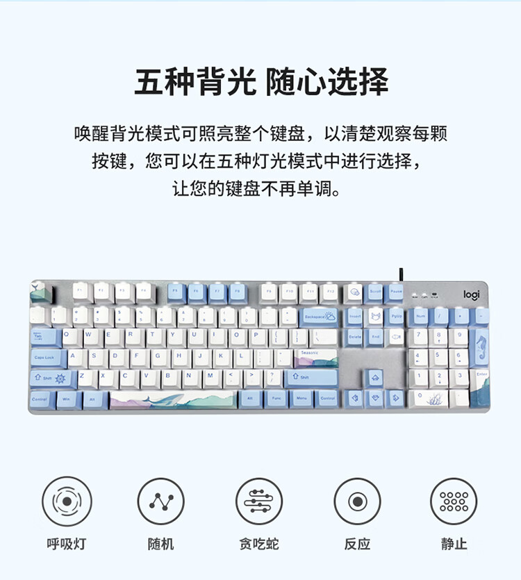 07351ec991b404fd.jpg