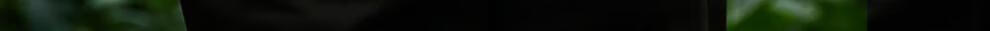 b520374bb0acbee0.jpg