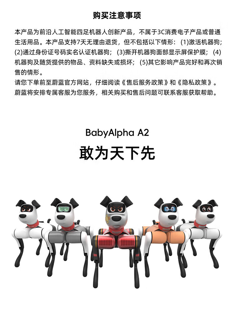 b551a6e58b44952e.jpg
