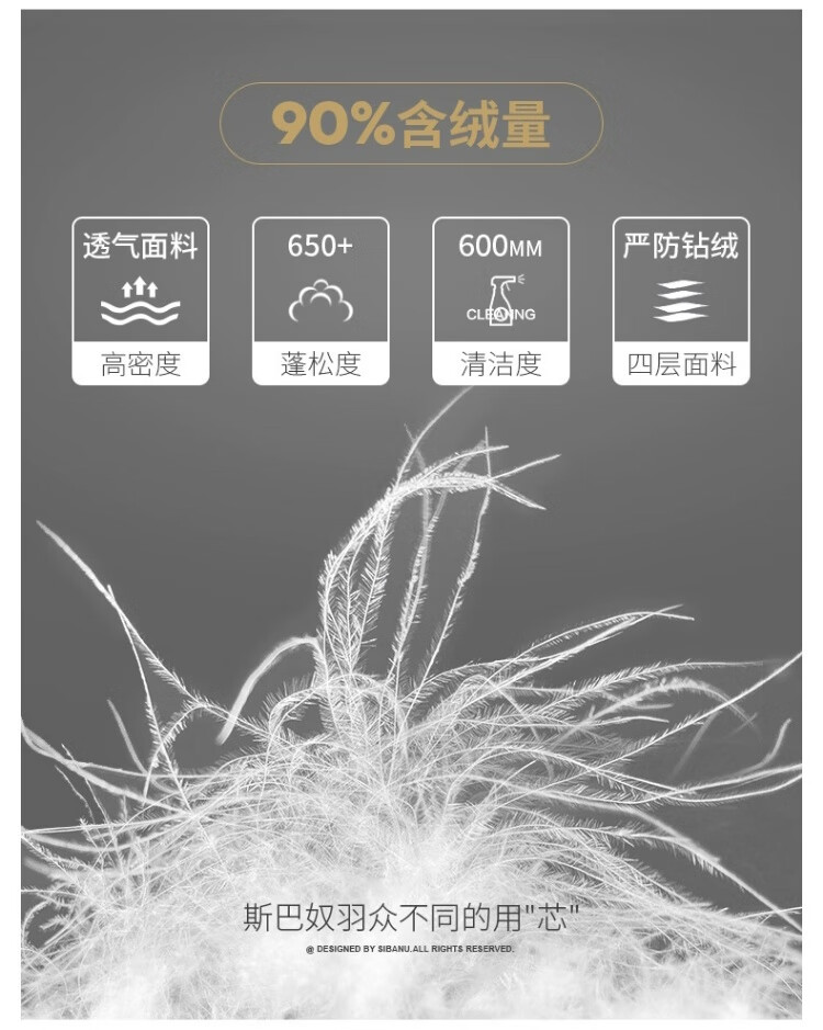 56e483d3166eb8ed.jpg