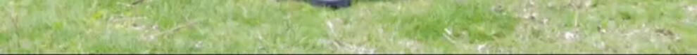 c82d54aab41d89cb.jpg