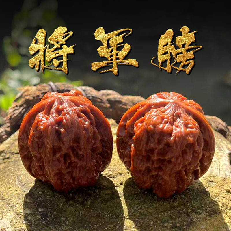 山中玉 文玩核桃 将军膀小众品种大尺寸核头古玩麻核桃盘玩送礼物 g