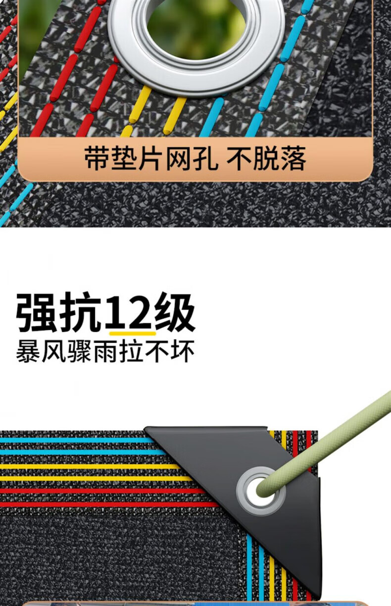d3843ce70c69312b.jpg