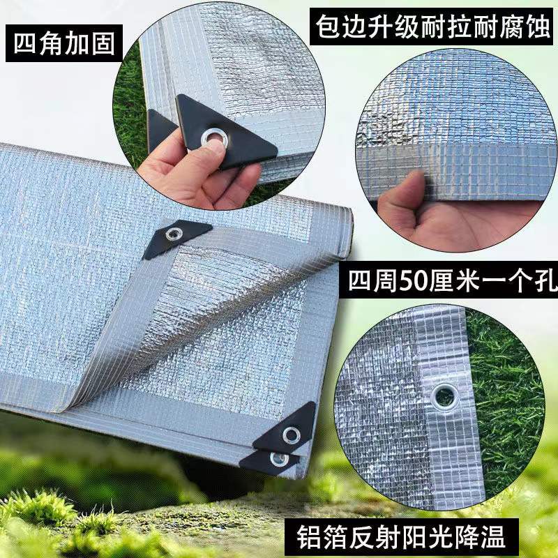 238a2bb3f4269770.jpg