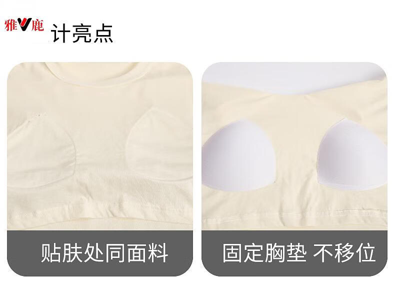 ee3a5188e7173d85.jpg