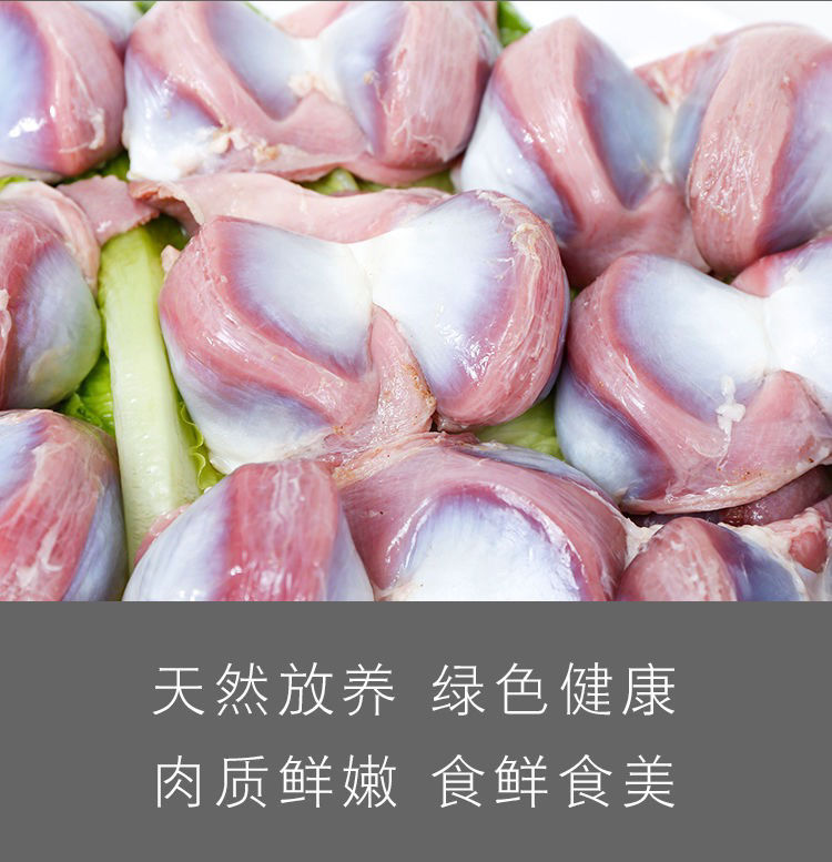 新鲜冷冻鹅胗5斤左右生鲜大号鹅肫鹅内脏冷冻鹅肾新鲜鹅胗批发5斤新鲜