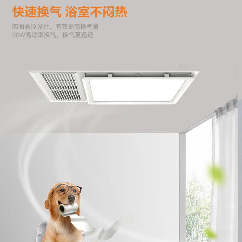 b3a1581dc3ba60ef.jpg