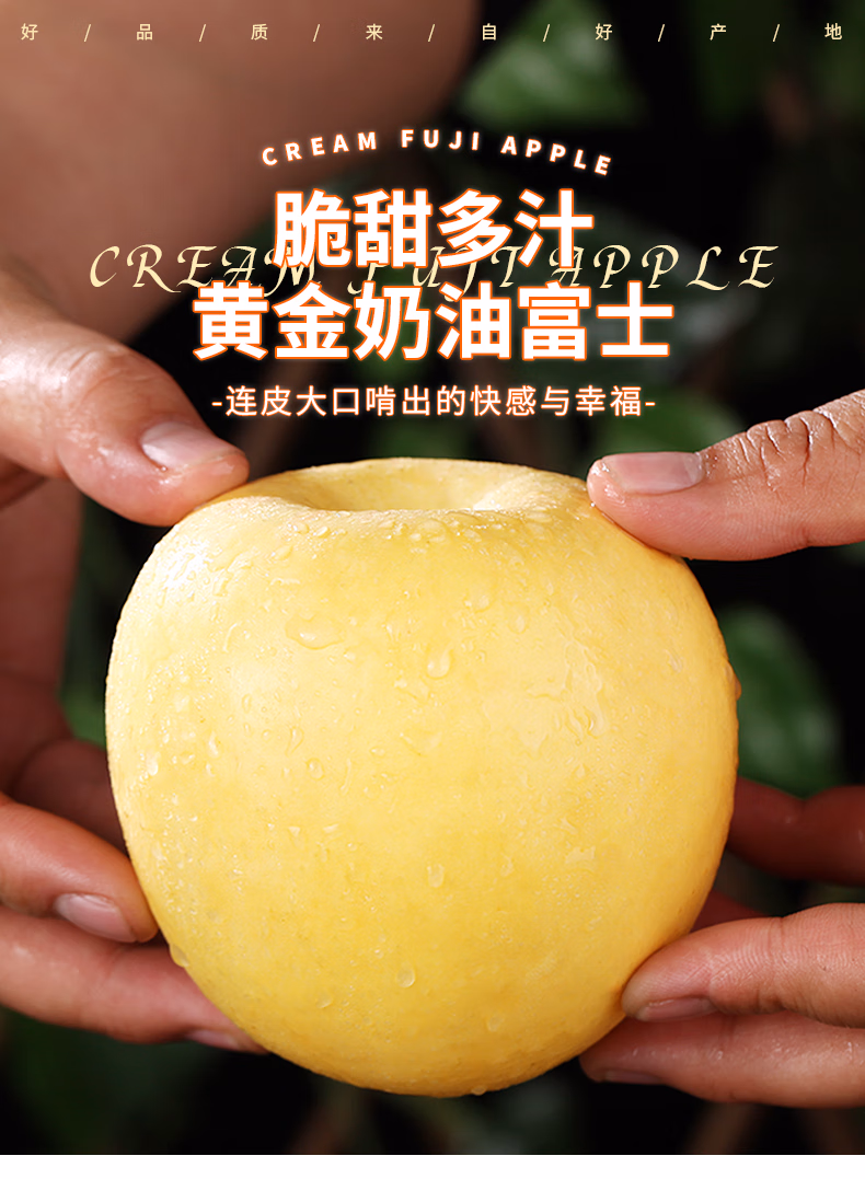 26962f98df83d095.jpg.avif