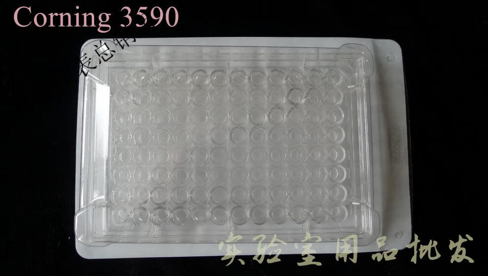 7f4754ea1eb219d5.jpg