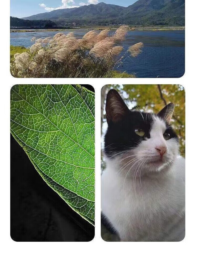 6b74e7a99c978ee9.jpg