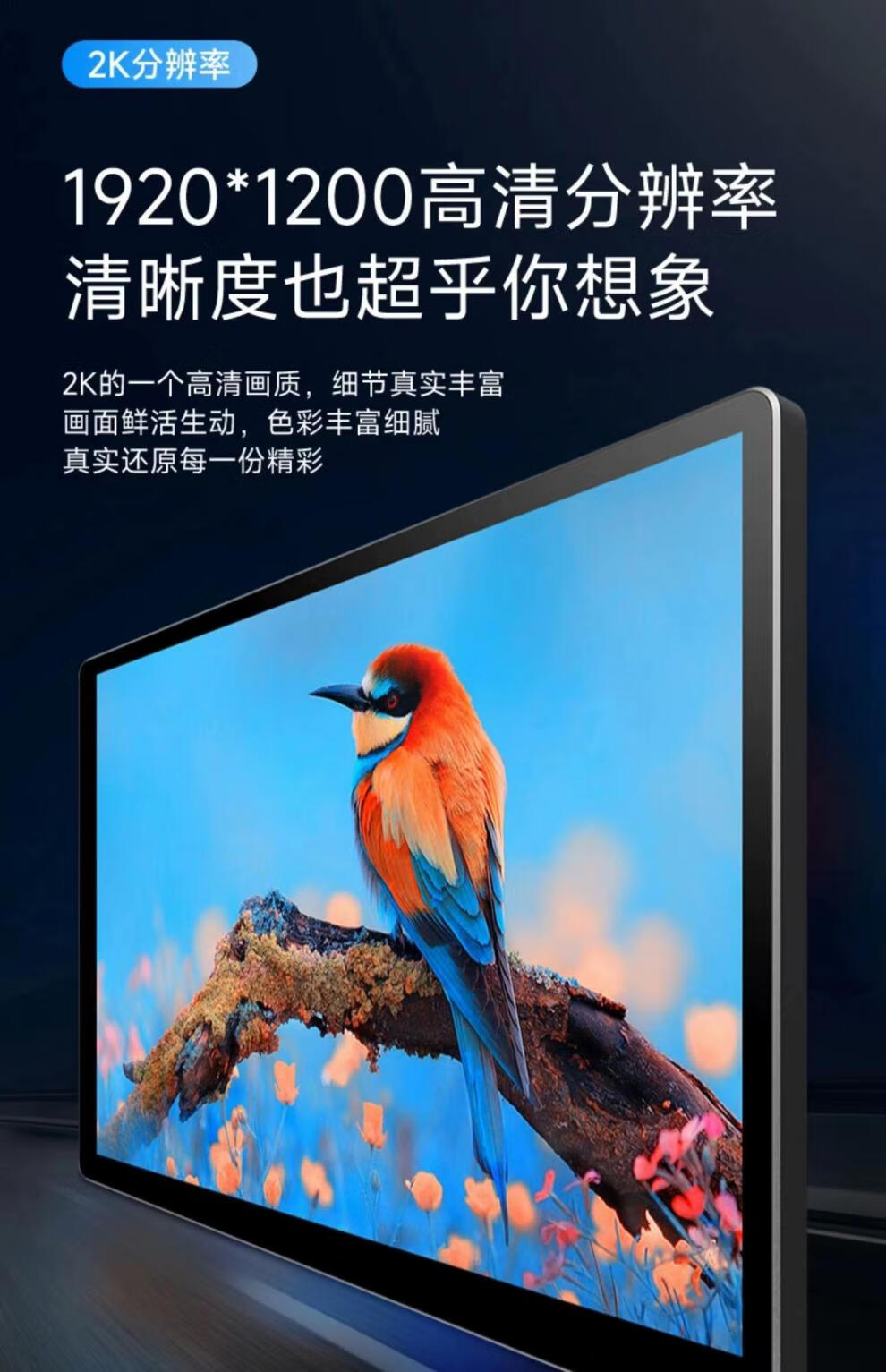 f46b71bb19a73f81.jpg