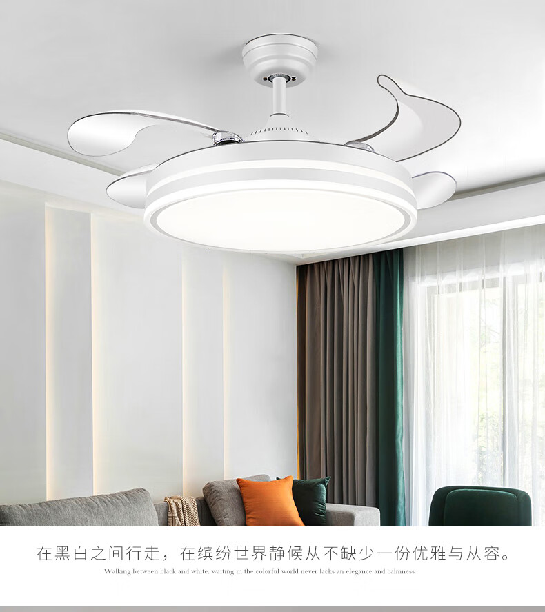 c45a5143ca38e495.jpg