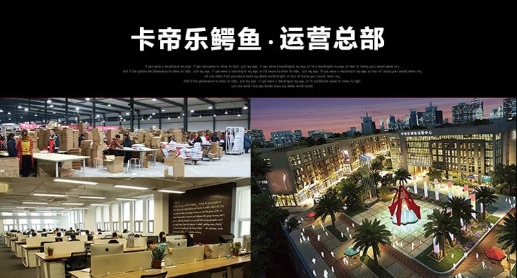 a5f3ee97ee554c49.png