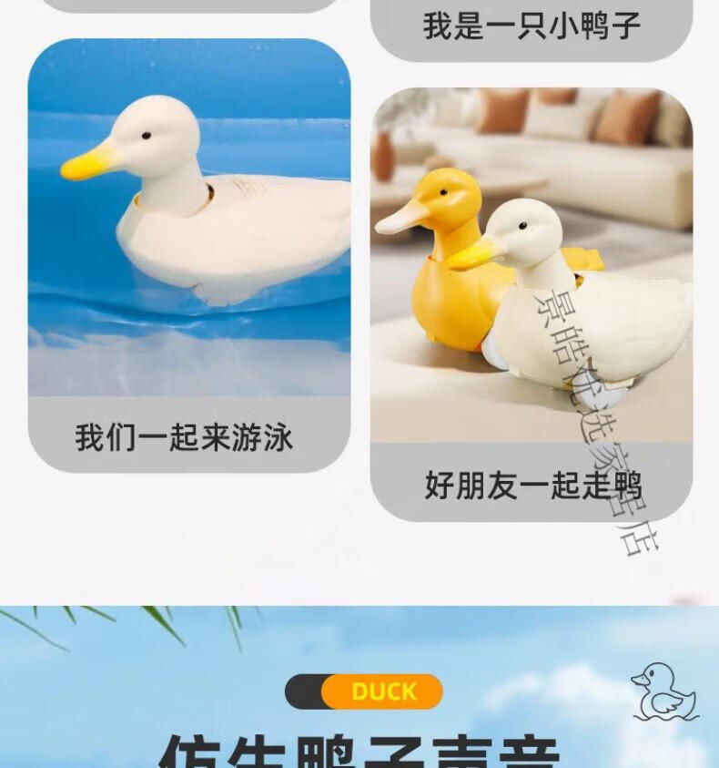 ed1ad75f556a9d6d.jpg