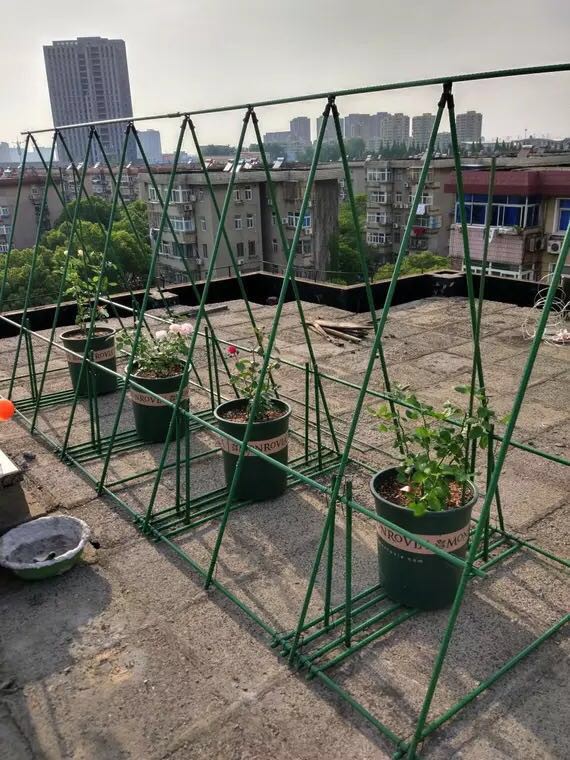 园艺用品庭院种植大棚包塑钢管支柱支架植物瓜果花卉藤蔓爬藤架子粗16