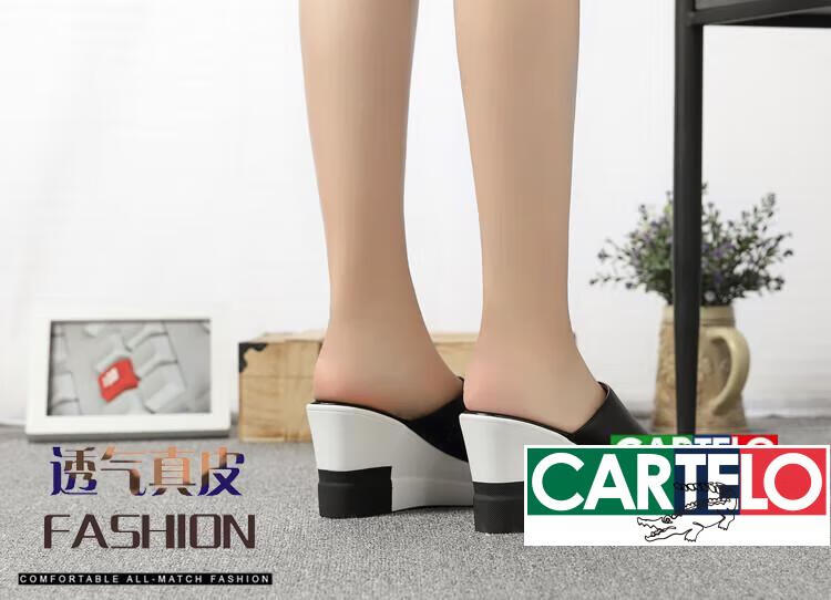 e94638cea104c5b6.jpg